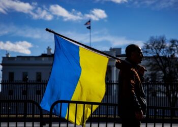 Рахункова палата України не виявила порушень у використанні допомоги США