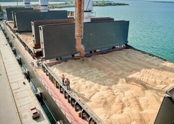 В Україні знизився експорт зерна