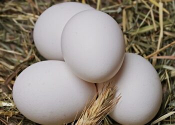 Антимонопольний комітет застеріг виробників яєць від підвищення цін