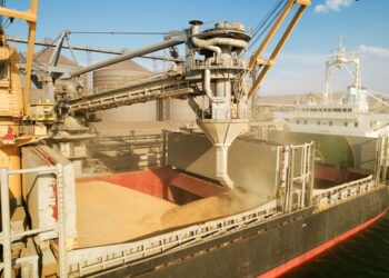 Україна скоротила експорт агропродукції на понад 23% – УКАБ