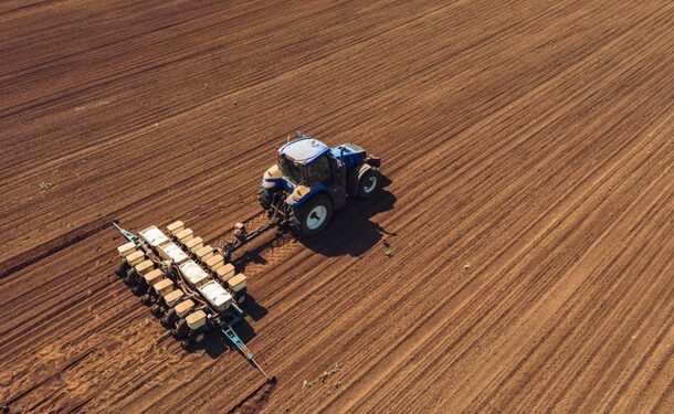 В Україні посівна площа під сільгоспкультурами на 6,1% менше, ніж торік