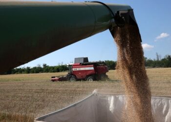 ЄС відновить квоти для агропродукції України