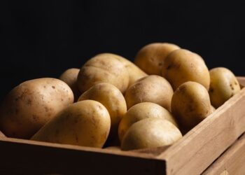Росія вперше почала купувати картоплю в Монголії через дефіцит