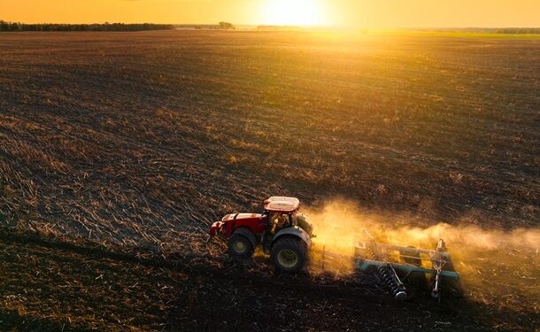 Весняна сівба: аграрії виконали 97% плану