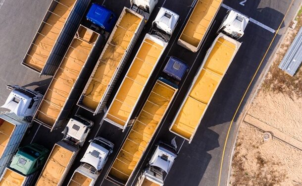 ЄС оприлюднив квоти на агропродукцію з України