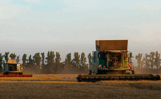 Темпи жнив-2025 відстають від минулорічних у 3,8 раза
