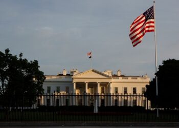 Білий дім підтвердив зупинку поставок зброї Києву