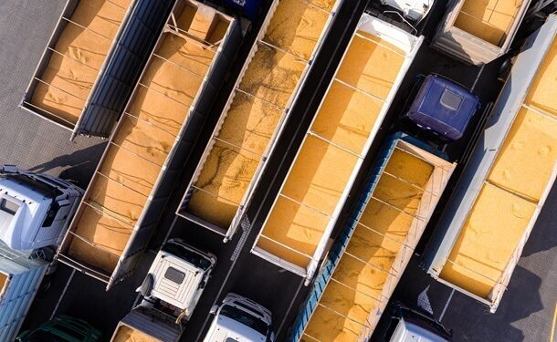 Зерновий експорт впав майже на 11 млн тонн