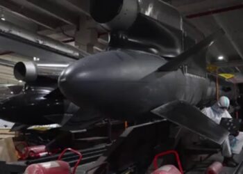 Зеленський підтвердив виробництво ракети Фламінго