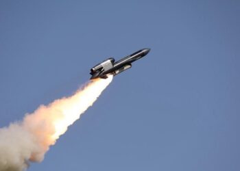 Були труднощі: Зеленський розповів про Фламінго